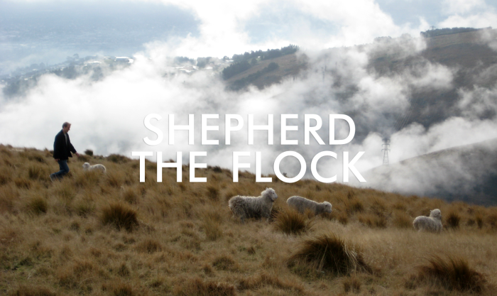 shepherding