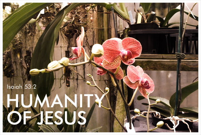 humanity-of-jesus2