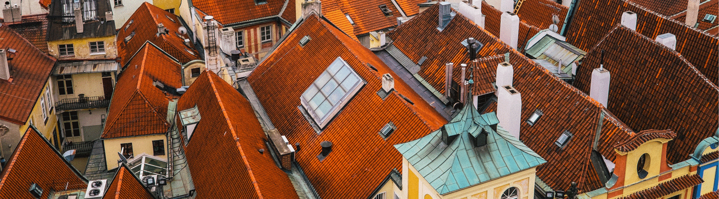 minor prophets revelation