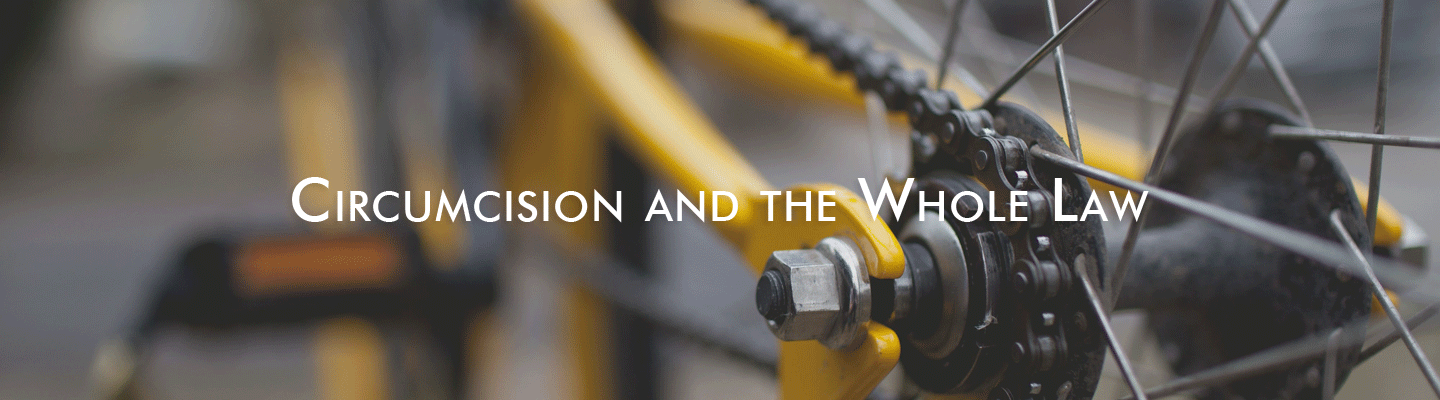 circumcision keep the whole law